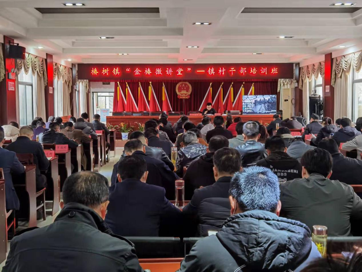 六安市椿树镇最新动态与资讯