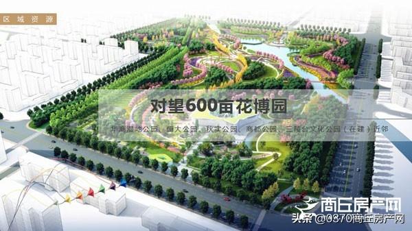 商丘花博园最新动态与相关论述揭秘