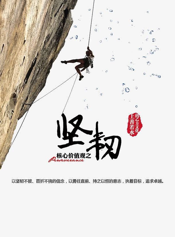 最新展现的坚韧事例