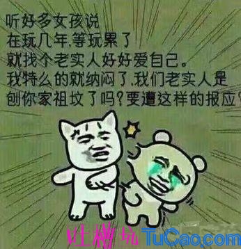 最新爆笑幽默与日常趣事，友情纽带下的温馨与欢乐