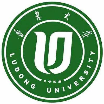 莱阳最新招聘信息揭秘，小巷中的职业机遇等你来探索！