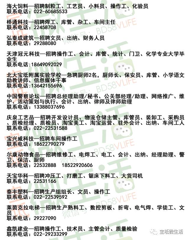 宁晋123最新动态，发展、变化与关注热点