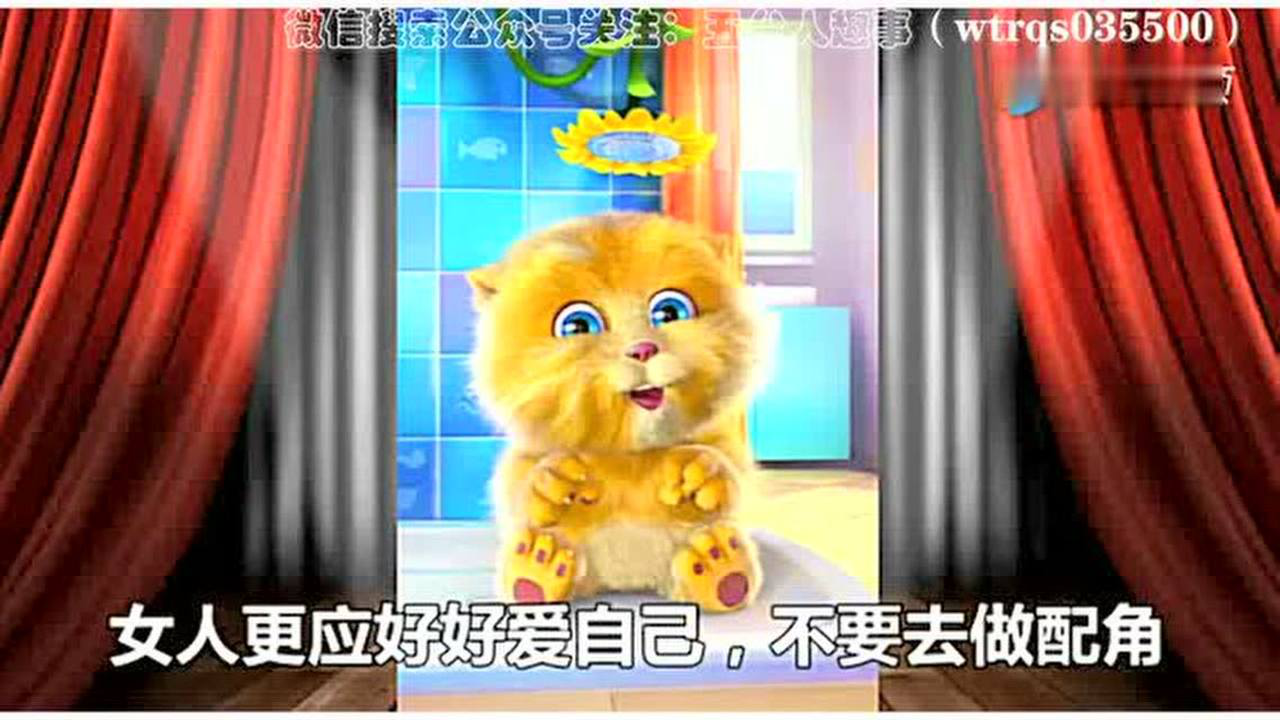 最新金猫侠段子大全，小巷风情独特笑料集结