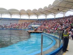 圣蓝海洋公园最新图片，时代海洋奇景的绝美展示
