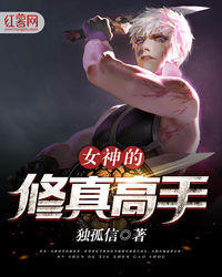 女神的修仙高手，神秘小巷中的修仙宝地最新章节揭秘