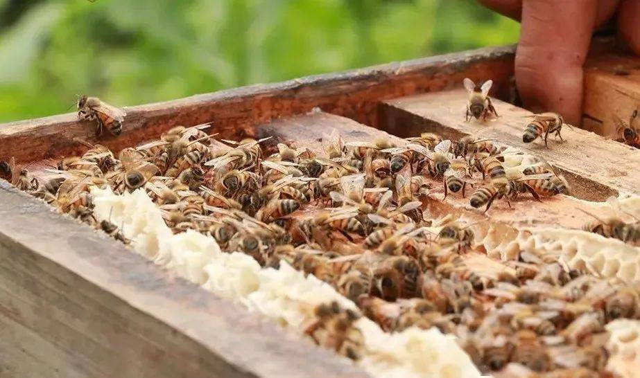 防水材料